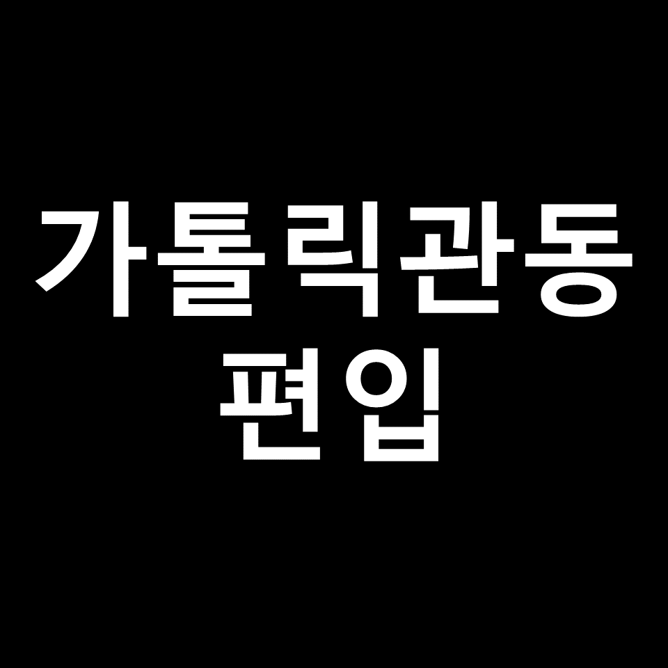 가톨릭관동대 편입 요강 경쟁률 기출문제 커트라인 | 2023, 2024