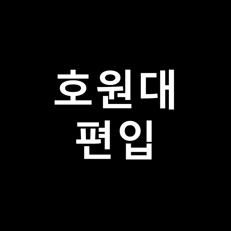 호원대 편입 요강 경쟁률 기출문제 커트라인 | 실기, 2023, 2024