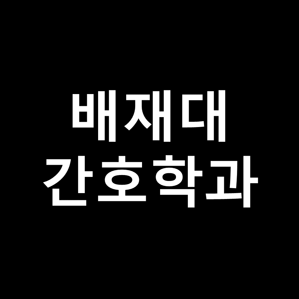 배재대 간호학과 수시 정시 논술 편입 등급 | 입결, 학종, 2024, 2025
