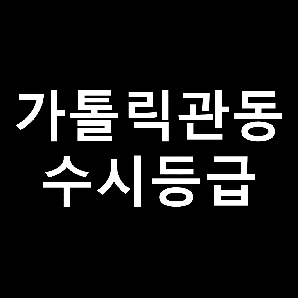 가톨릭관동대학교 수시등급 | 입결, 등급컷, 모집요강, 2024, 2025
