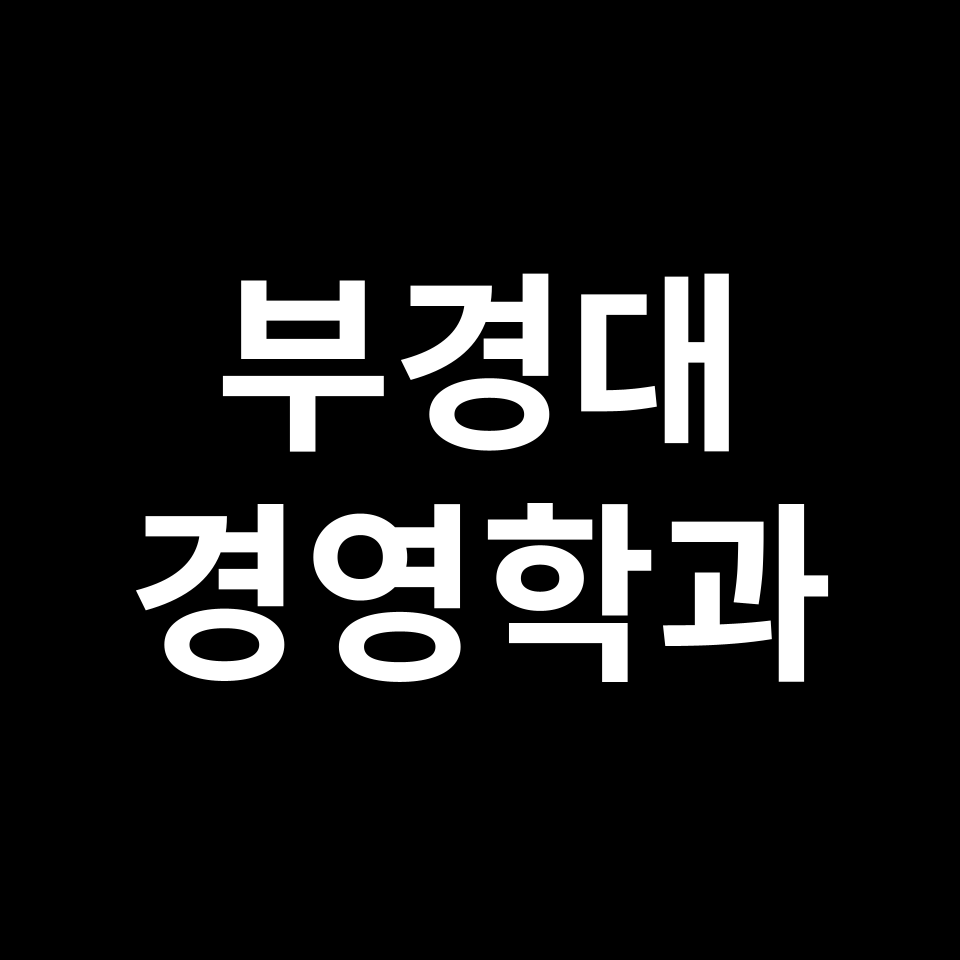 부경대 경영학과 수시 정시 등급 편입 논술 입결 | 2024-2025