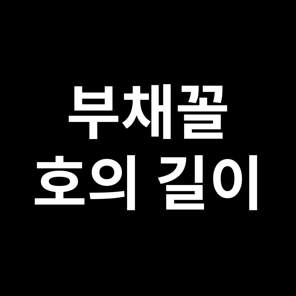 부채꼴 호의 길이 | 도형 특징, 유도 과정, 예시 문제, 시험 준비 등